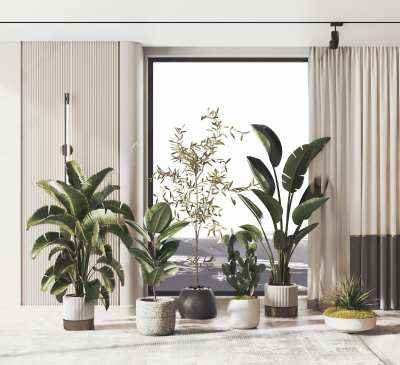 现代盆栽组合3D模型下载